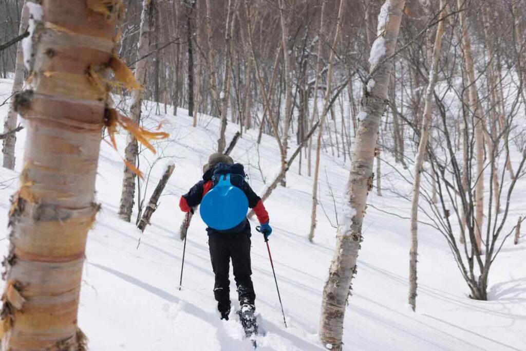 ネイチャーガイドによるスノーシュー